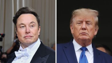 Elon musk's trump