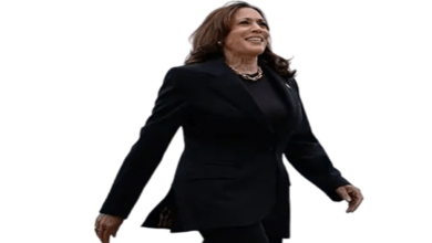 Kamala harris