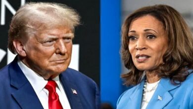 Kamala harris donald trump