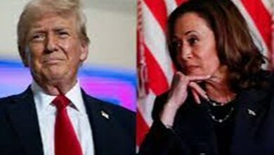 Kamala harris and donald trump