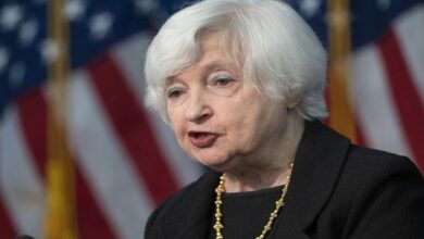 Treasury secretary janet yellen