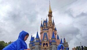 Disney world closes