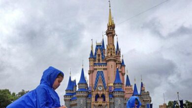 Disney world closes