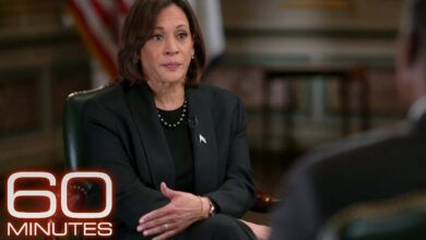 Vice president kamala harris