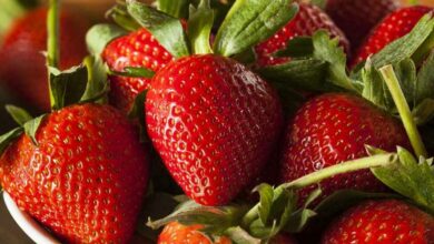 Strawberry Water Benefits For Health