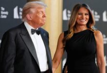 President donald trump
