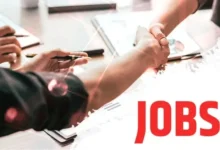 Gold records significant annual gains as investors seek stability